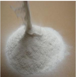 �۠�۱�ϩ����