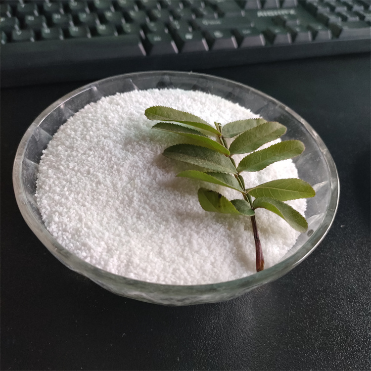 �۱�ϩ�����DƬ